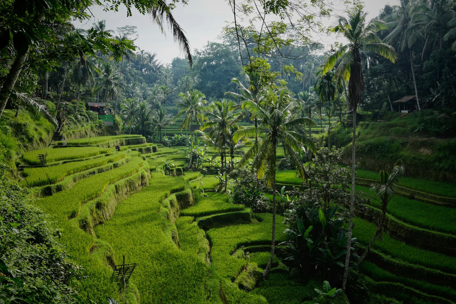 Best Time to Travel to Bali – Seasonal Guide for 2025
