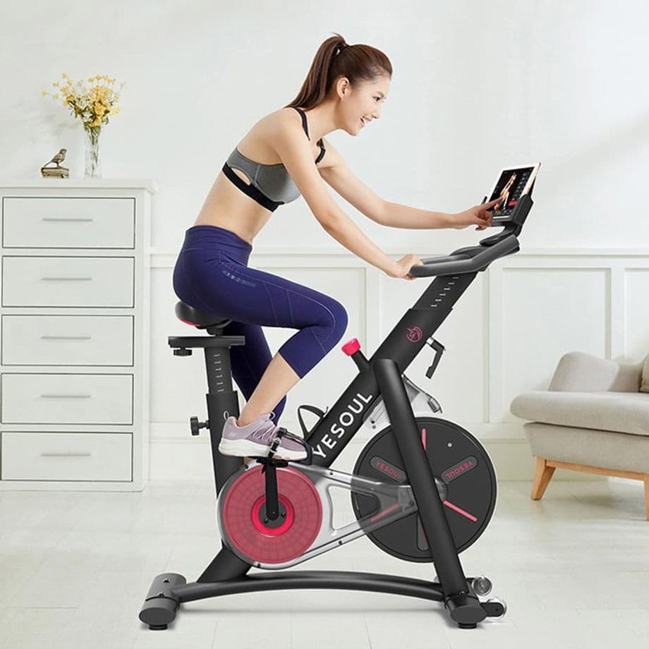 Home Spinning Bike