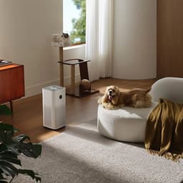 Smart Air Purifier
